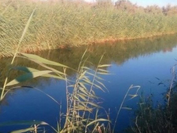 “Qora-qir” ko‘lida ekoturizm markazi